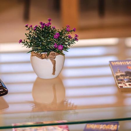 Schaessburg Apartment #1 锡吉什瓦拉 外观 照片